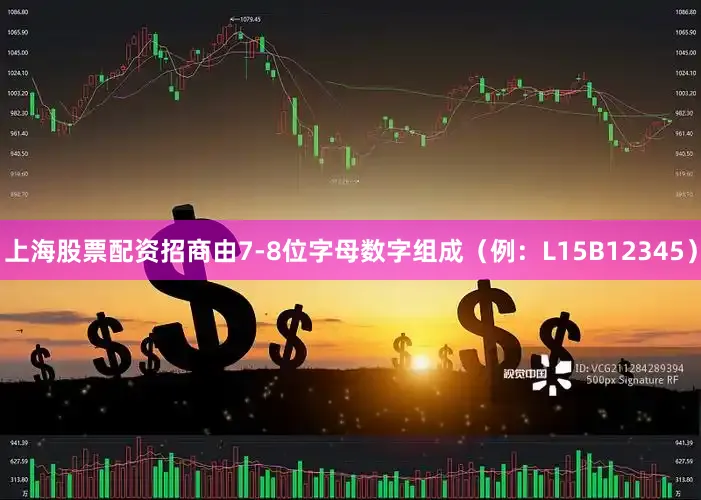 上海股票配资招商由7-8位字母数字组成（例：L15B12345）