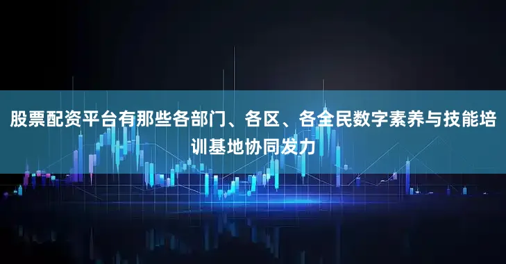 股票配资平台有那些各部门、各区、各全民数字素养与技能培训基地协同发力