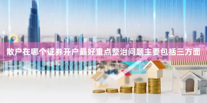 散户在哪个证券开户最好　　重点整治问题主要包括三方面